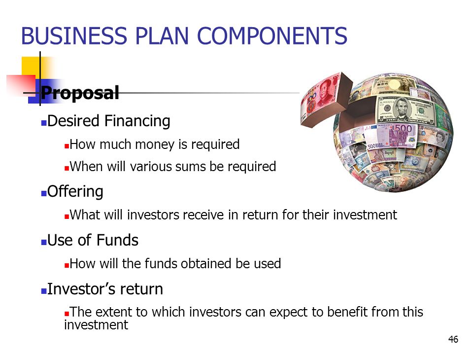 Business Plan: Your Organizational and Operational Plan